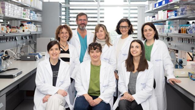 El equipo investigador.