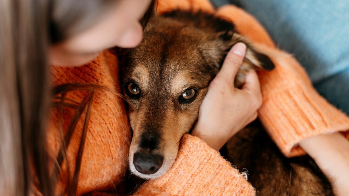 Abrazar a nuestra mascota puede ayudarle a tranquilizarse y a normalizar la situación.