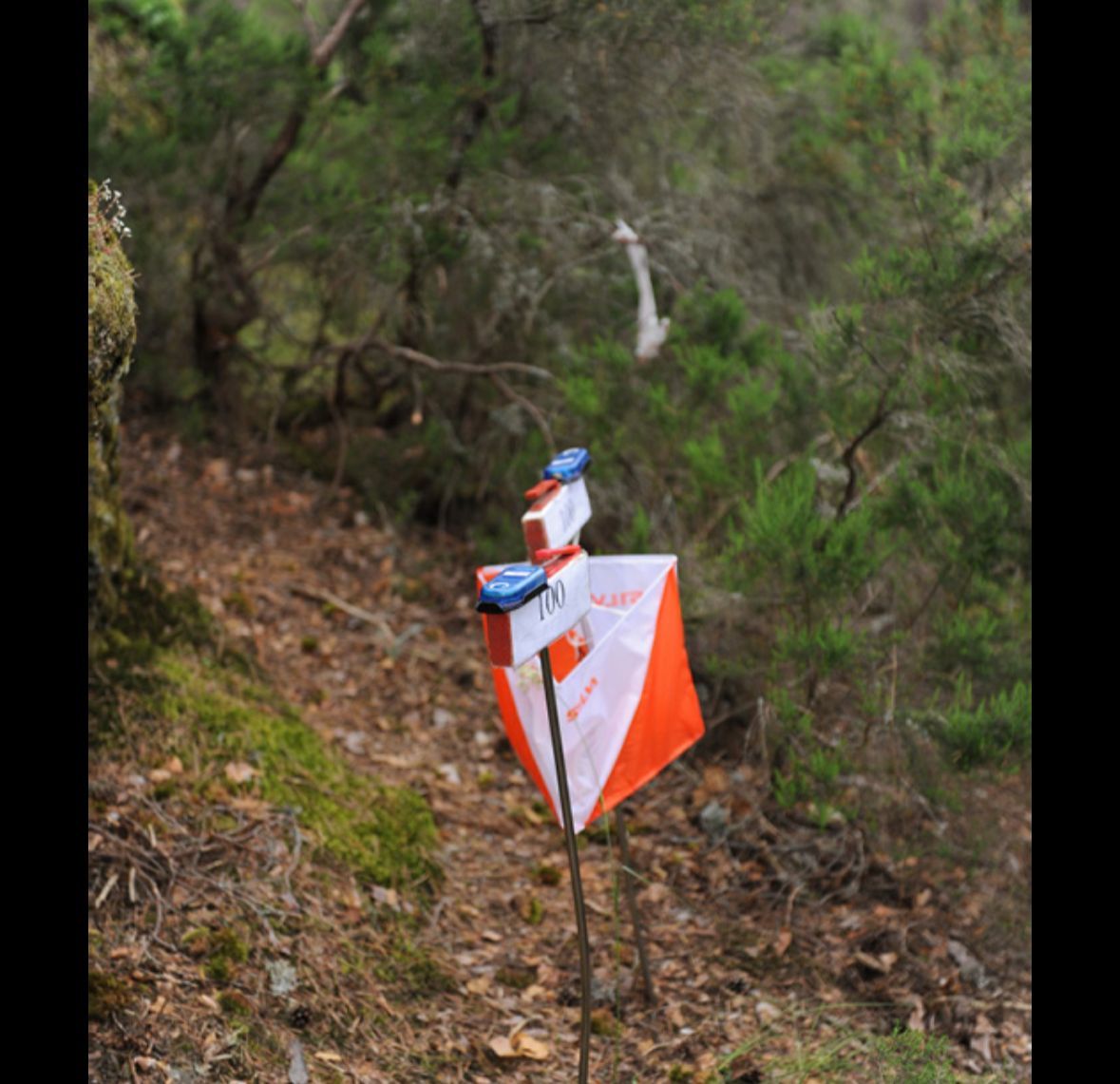 Así son las balizas de las pruebas de orientación.