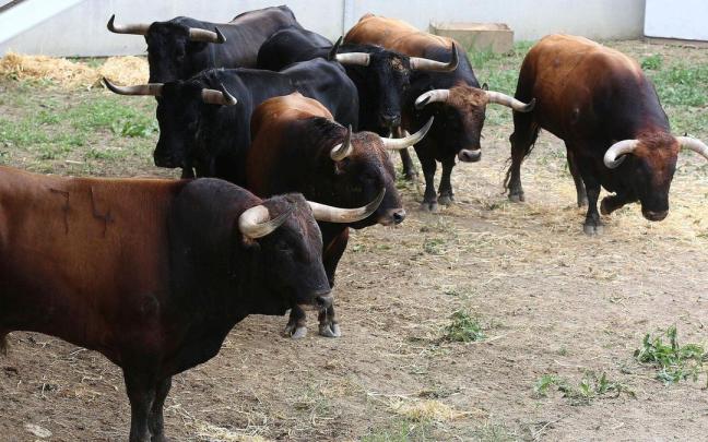 Primer encierro de San Fermín con toros de la ganadería La Palmosilla