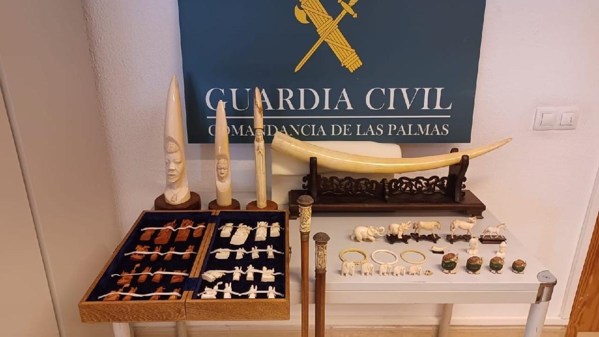 Colección piezas marfil incautada