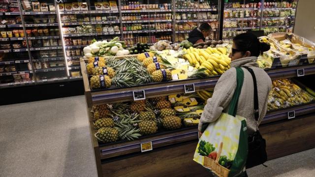 Los hogares vascos destinan de media 1.123 euros a los gastos domésticos