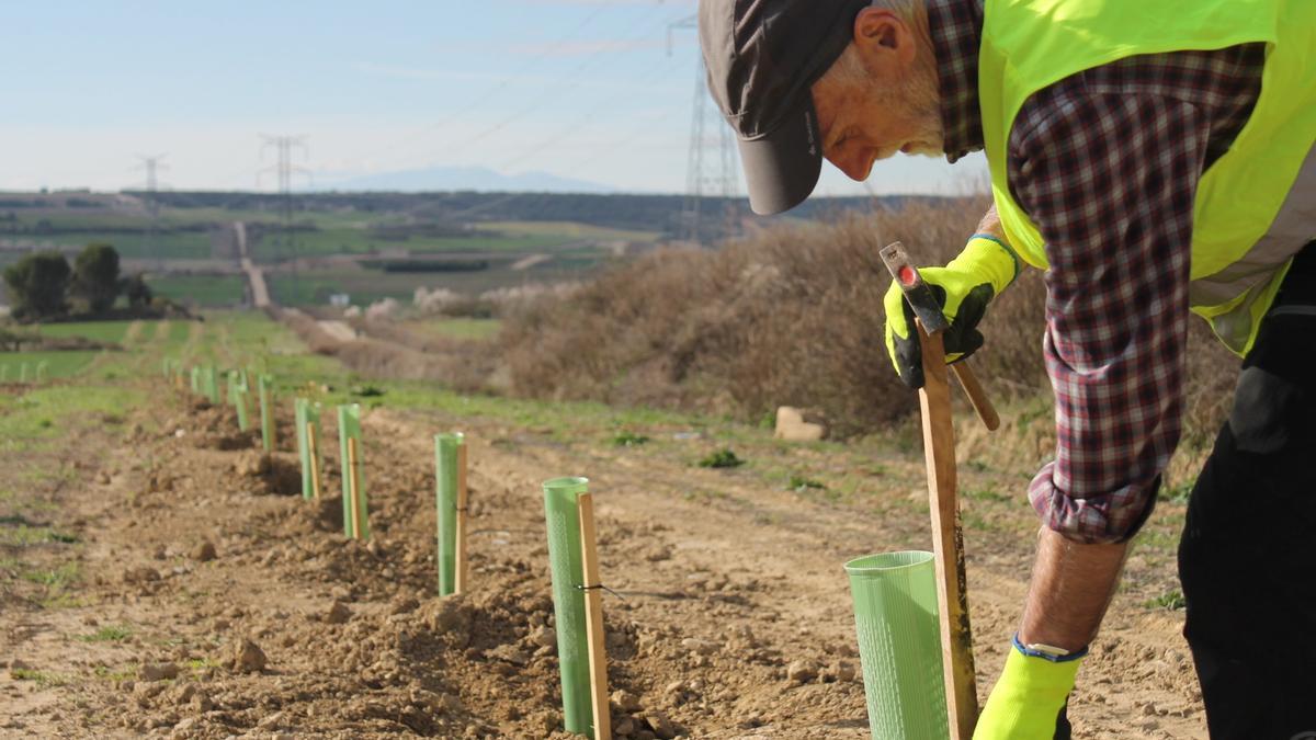 Un miembro del Proyecto Berdesia coloca el material.