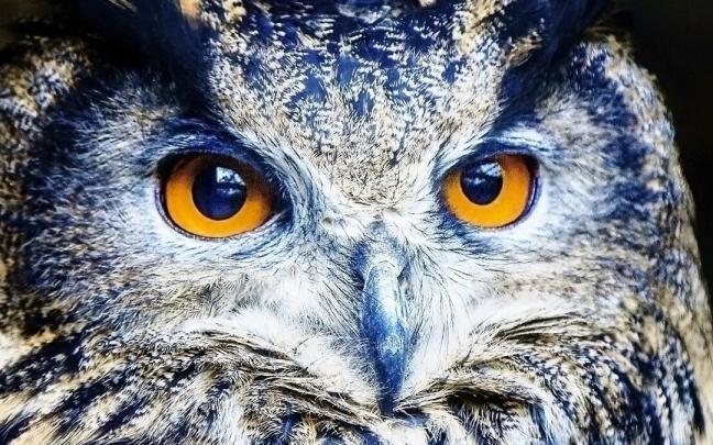 Así es el Karpín de Karrantza por dentro