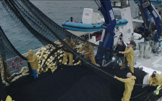 Campaña de pesca de atún rojo. Campaña de pesca de atún rojo.