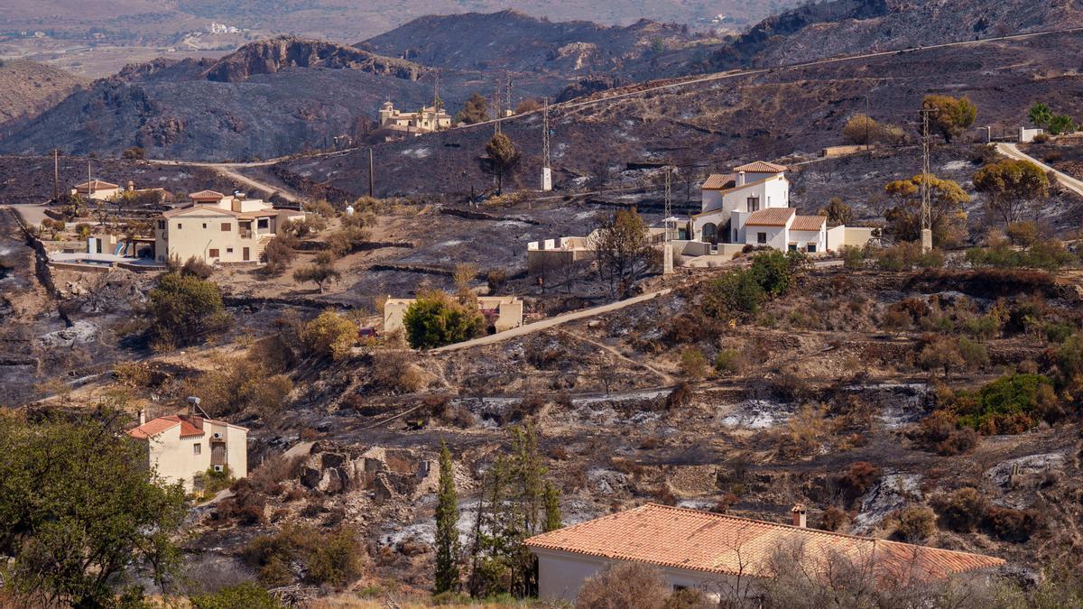 Zona afectada por el incendio de Los Gallardos.