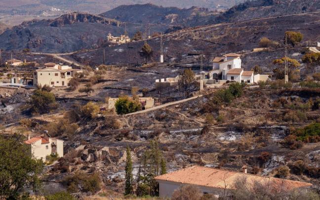 Zona afectada por el incendio de Los Gallardos.