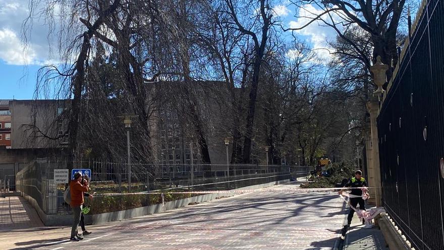 Vitoria cierra parques y jardines