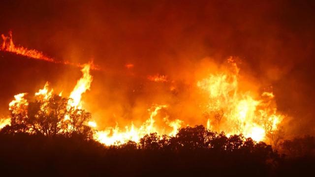 Imagen de un incendio forestal en la Sierra Calderona.