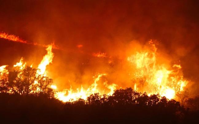 Imagen de un incendio forestal en la Sierra Calderona.