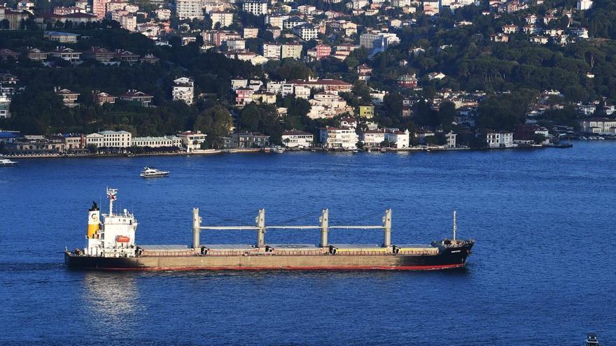 Un barco llega a la ciudad turca de Estambul cargado de grano procedente de Ucrania.