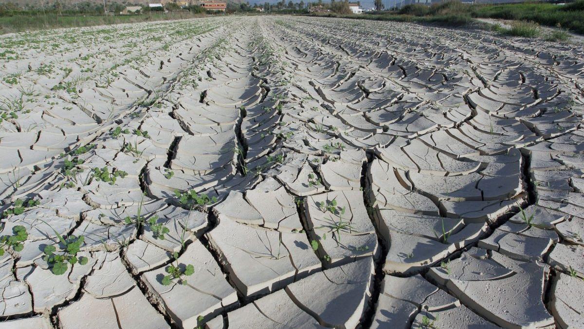 Consecuencias del cambio climático.