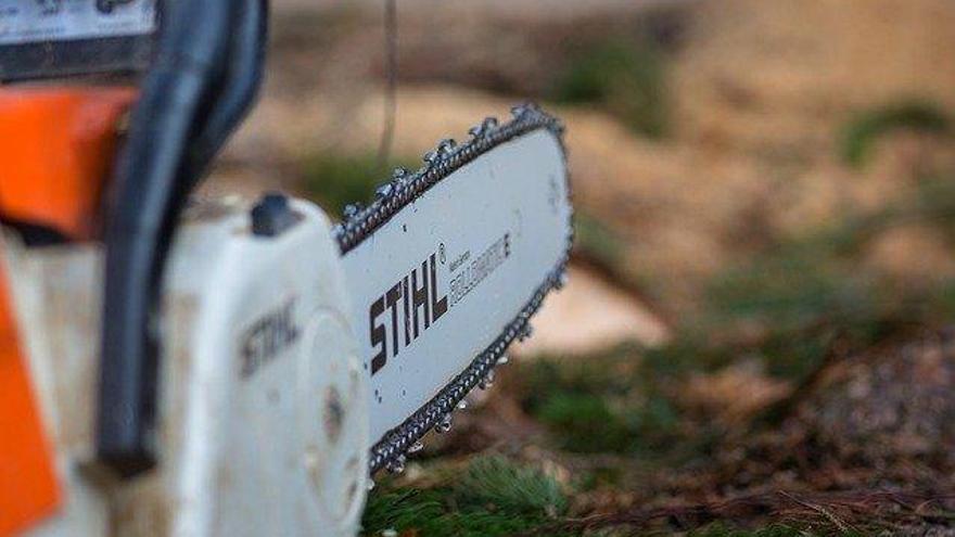 Imagen de una motosierra. / Pixabay