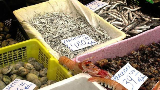 Angulas en un mercado. / Archivo Angulas en un mercado.