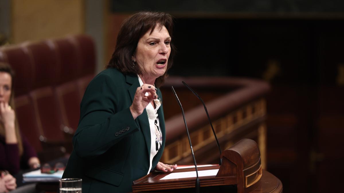 La diputada del PSOE Carmen Martínez interviene durante una sesión plenaria.