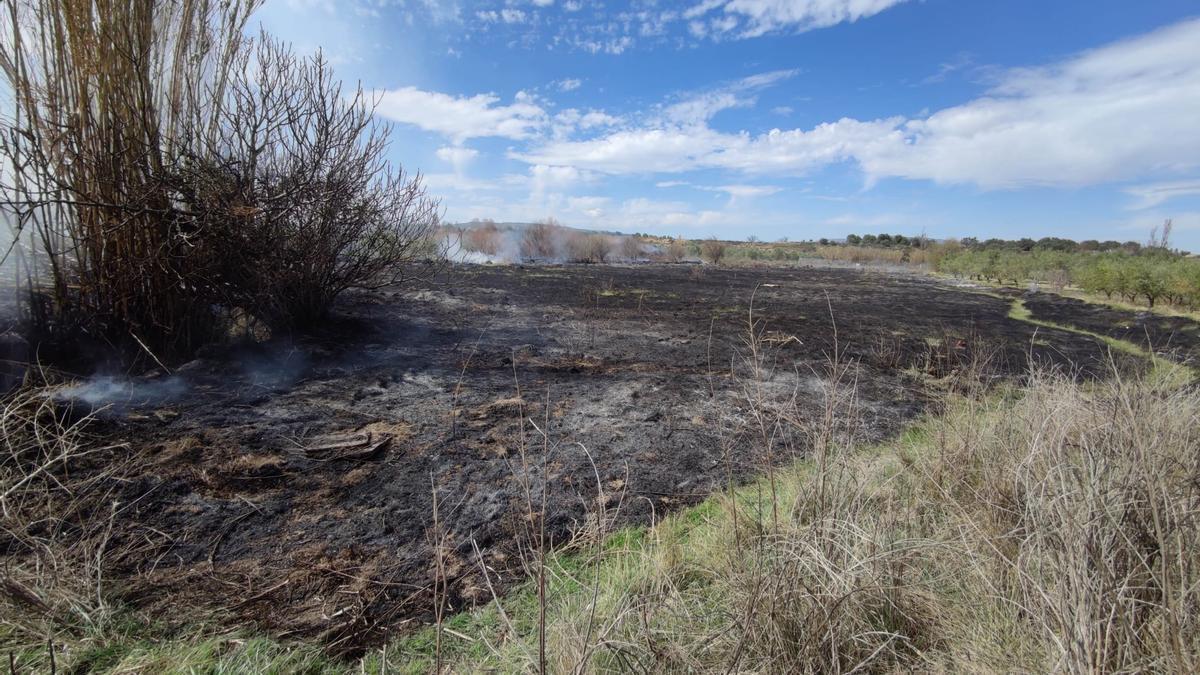 El incendio se inició en una zona de maleza.