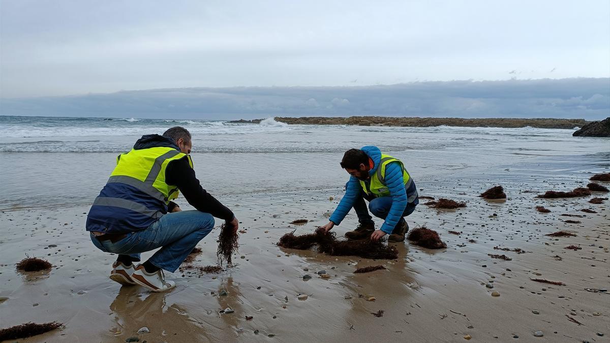 Técnicos rastrean una playa de Cantabria para comprobar la presencia de pellets.