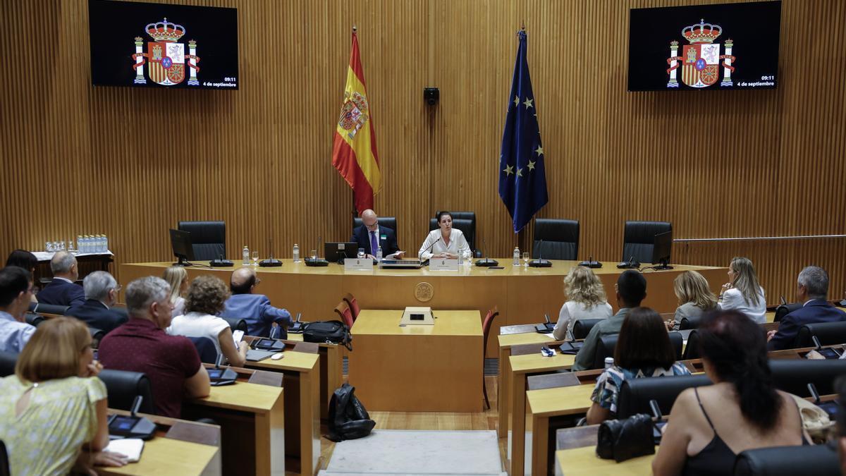 La diputada de Vox Rocío de Mer (c-d) y el vicepresidente de ANAVID, Jesús Muñoz (c-i´), participan en las jornadas.