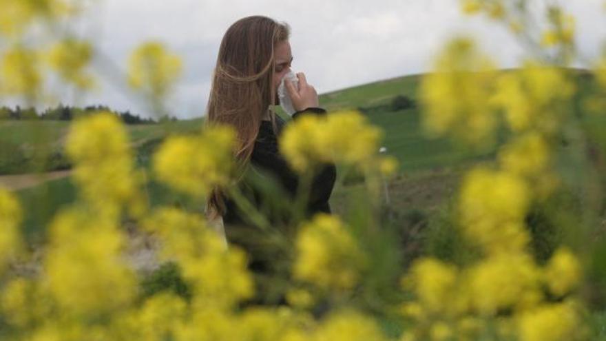 Las gramíneas son el tipo de planta que más alergia al polen causa