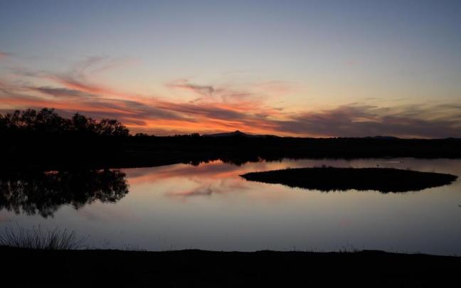 El acuífero 23 del Parque Nacional de Las Tablas de Daimiel, ha sufrido un descenso desde 2014 más de 1.000 hectómetros cúbicos. El acuífero 23 del Parque Nacional de Las Tablas de Daimiel, ha sufrido un descenso desde 2014 más de 1.000 hectómetros cúbicos.