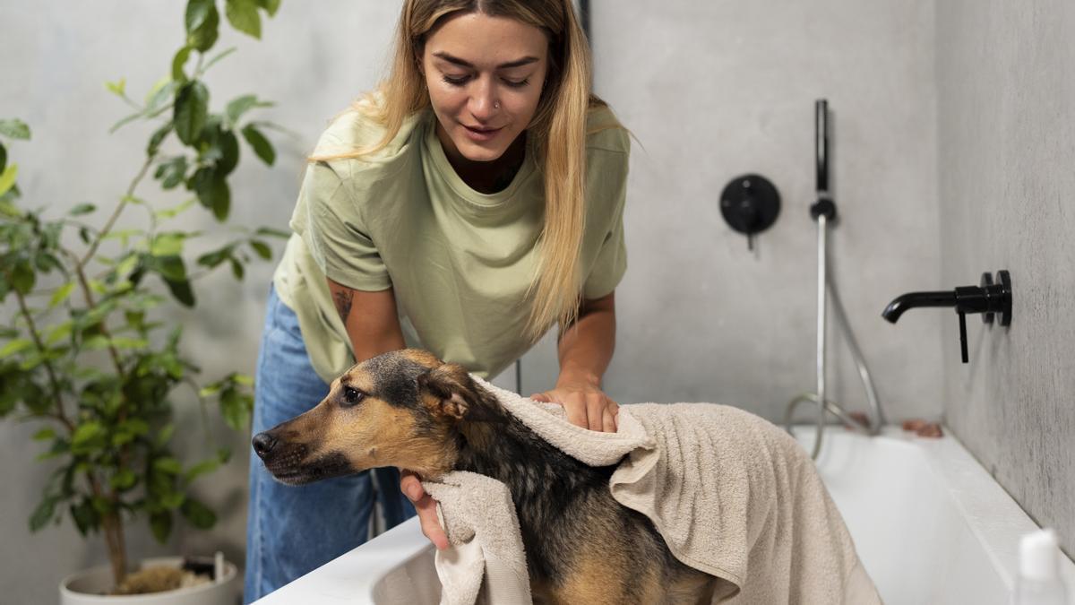 Para que disfrute del momento del baño, hay que enseñarle desde cachorro que es un juego.