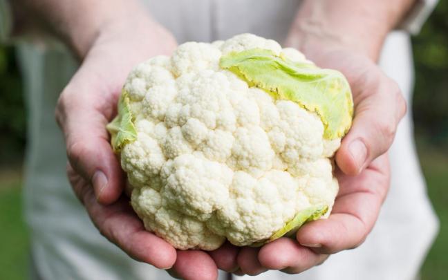 Una coliflor, casi lista para ir a la cocina.