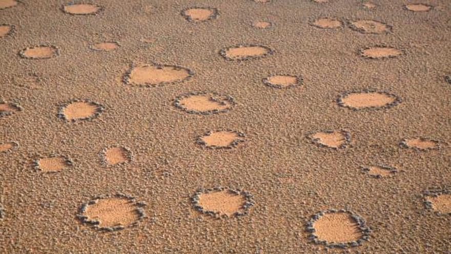 Los 'círculos de hadas', un patrón de suelo rodeado de manchas circulares de vegetación