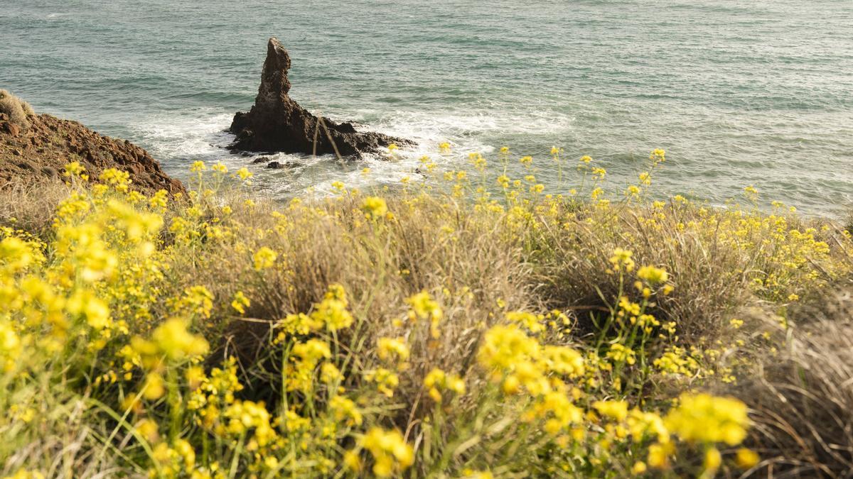 Paisaje en primavera