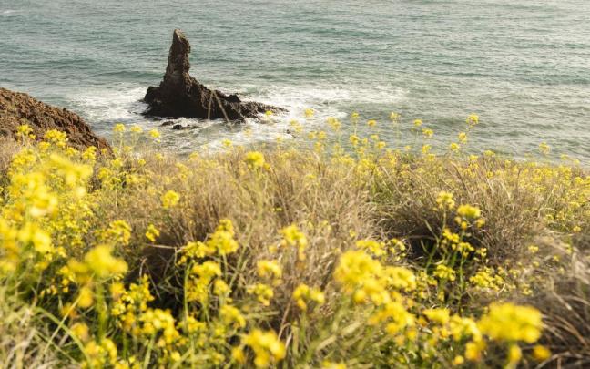 Paisaje en primavera