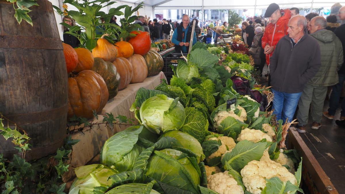 Vista de la feria de Gabon Zahar de Elgoibar, lugar de encuentro de productores agrícolas el último sábado de cada año.