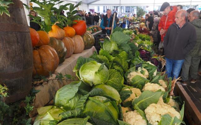 Vista de la feria de Gabon Zahar de Elgoibar, lugar de encuentro de productores agrícolas el último sábado de cada año.