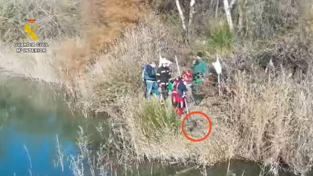 Un detenido y un investigado por arrojar a un perro en una laguna de Arganda con cadenas y bloques de hormigón