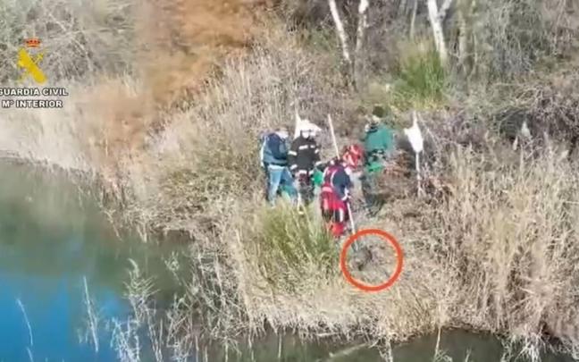Un detenido y un investigado por arrojar a un perro en una laguna de Arganda con cadenas y bloques de hormigón