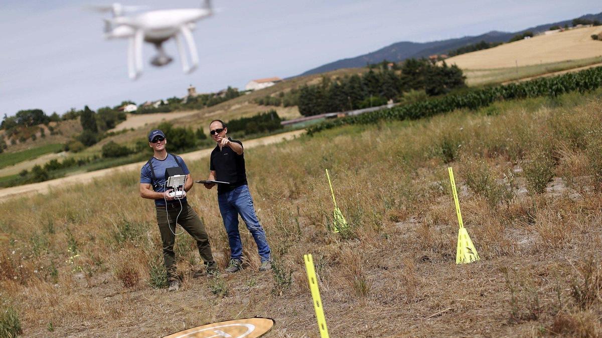 La IA permite agilizar las tareas, aliviar la carga e impulsar la innovación