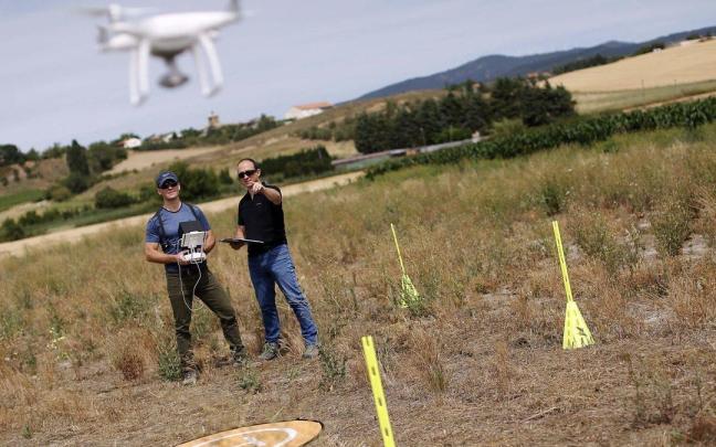 La IA permite agilizar las tareas, aliviar la carga e impulsar la innovación