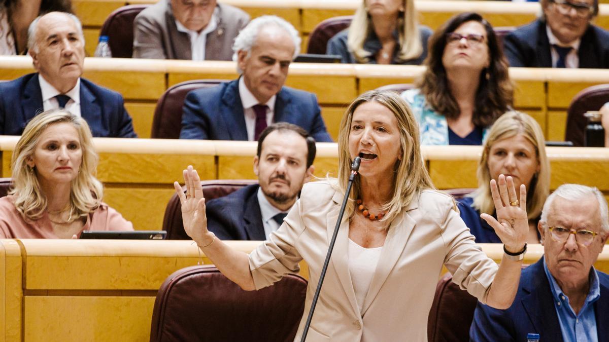 La portavoz del PP en el Senado, Alicia García