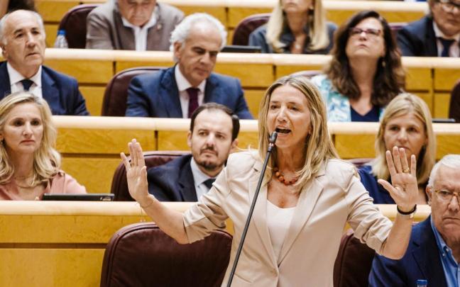 La portavoz del PP en el Senado, Alicia García