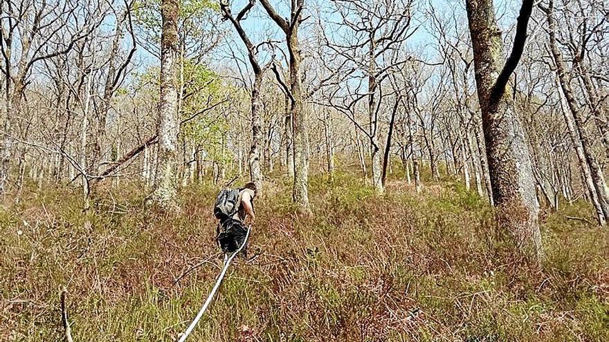 Un científico, analizando la flora en el monte Añarbe.