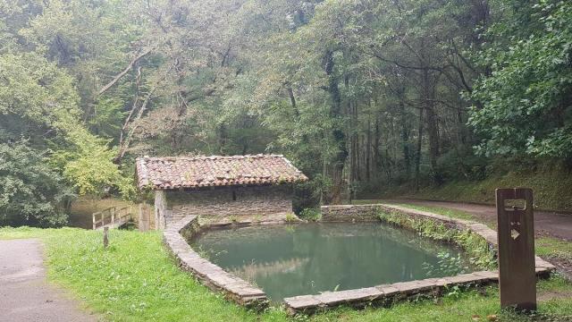 En imagenes: Parque natural de Pagoeta