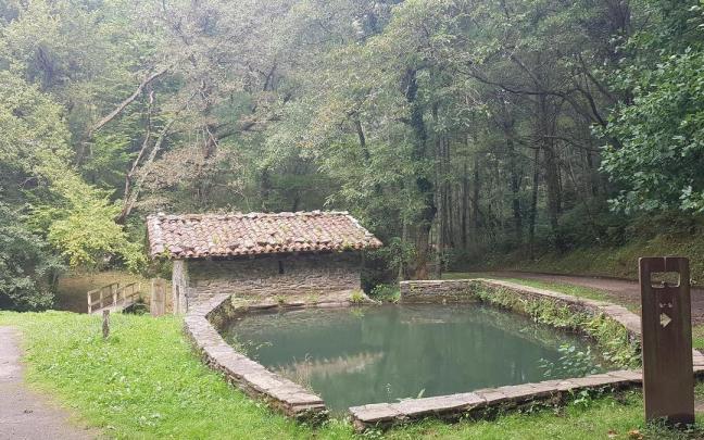 En imagenes: Parque natural de Pagoeta
