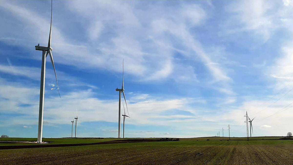 Aerogeneradores en un campo de cultivo