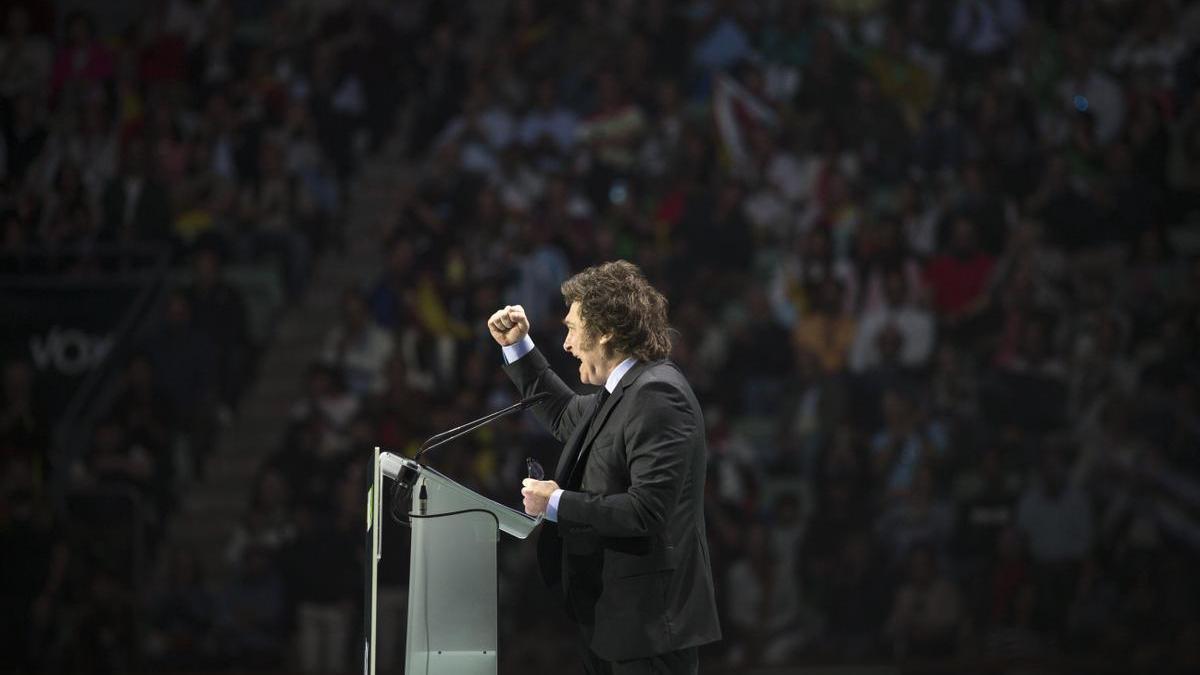 El presidente de Argentina, Javier Milei, durante su intervención el pasado fin de semana en el acto de Vox.