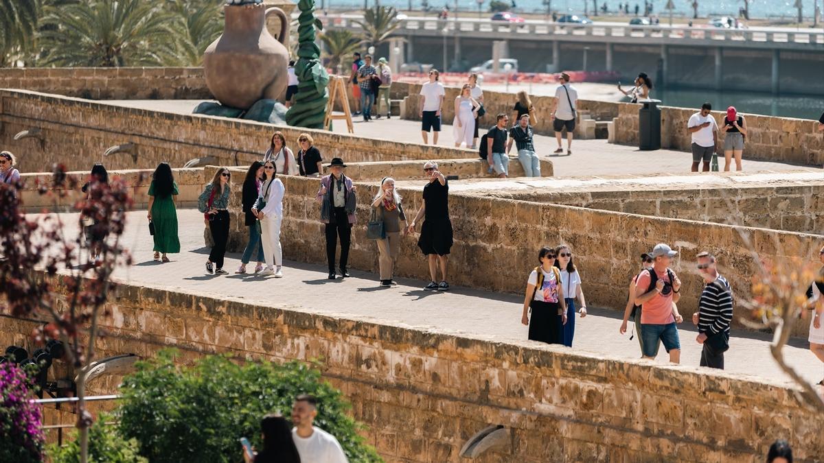 Palma, entre los 30 mejores destinos de viaje para 2025, según Lonely Planet.