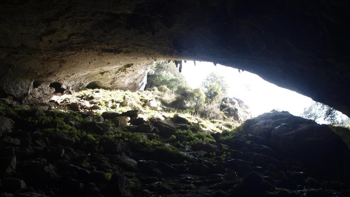 Entrada de la cueva de Baltzola vista desde el interior