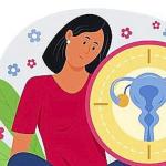 Emakunde está recogiendo experiencias y percepciones de mujeres de diferentes generaciones en relación a la menstruación y la menopausia