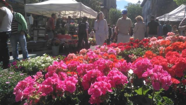 Feria Especial de Flores y Plantas.