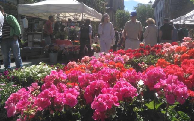 Feria Especial de Flores y Plantas.