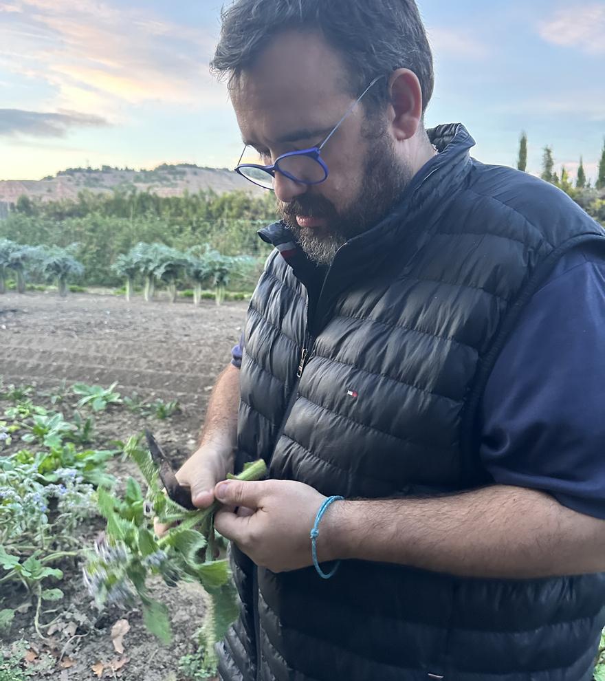 Luis Salcedo en la huerta.