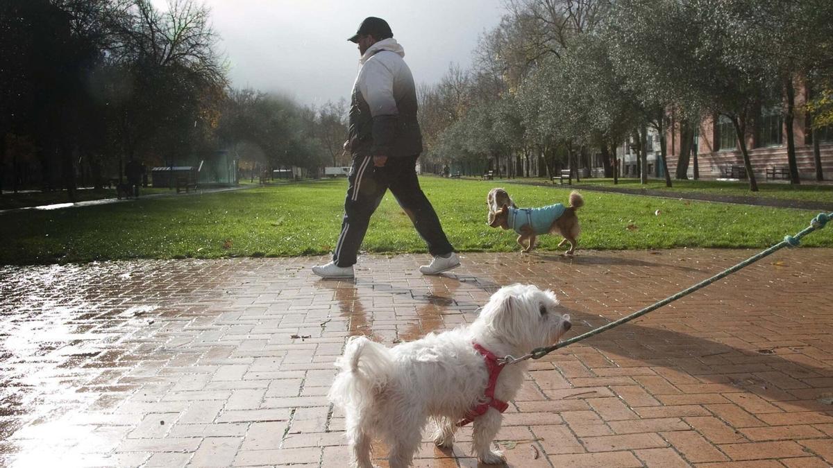 Informazio horretatik kanpoko irudia.