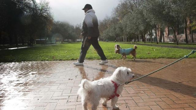 Informazio horretatik kanpoko irudia.